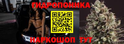 прущие грибы Добрянка