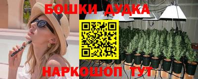 тгк Дмитров