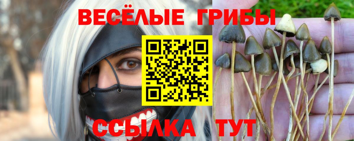Псилоцибиновые грибы MAGIC MUSHROOMS  Вход с VPN  Архангельск 