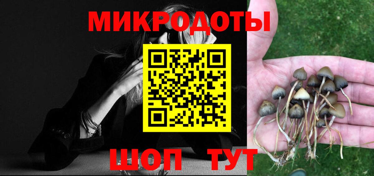 Псилоцибиновые грибы ЛСД Архангельск